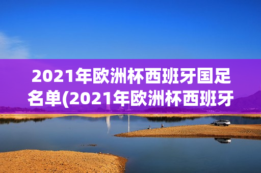 2021年欧洲杯西班牙国足名单(2021年欧洲杯西班牙球员)