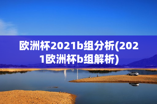 欧洲杯2021b组分析(2021欧洲杯b组解析)