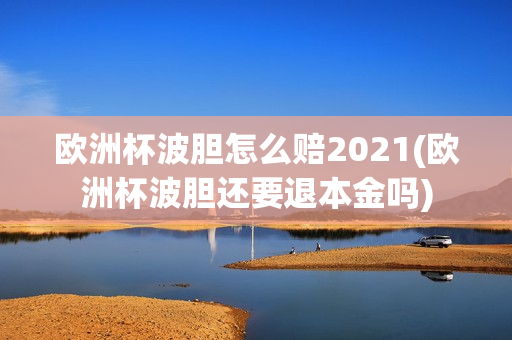 欧洲杯波胆怎么赔2021(欧洲杯波胆还要退本金吗)