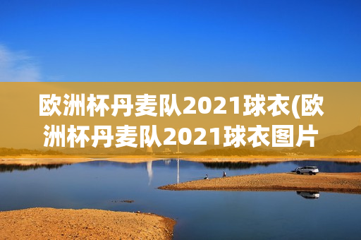 欧洲杯丹麦队2021球衣(欧洲杯丹麦队2021球衣图片)