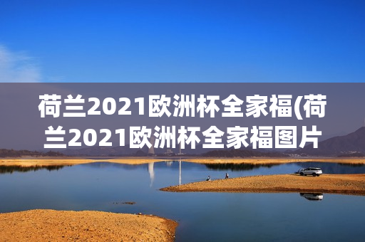 荷兰2021欧洲杯全家福(荷兰2021欧洲杯全家福图片)