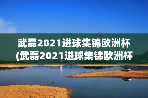 武磊2021进球集锦欧洲杯(武磊2021进球集锦欧洲杯视频)