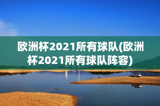 欧洲杯2021所有球队(欧洲杯2021所有球队阵容)