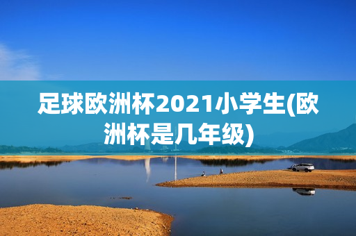 足球欧洲杯2021小学生(欧洲杯是几年级)