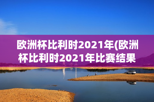 欧洲杯比利时2021年(欧洲杯比利时2021年比赛结果)