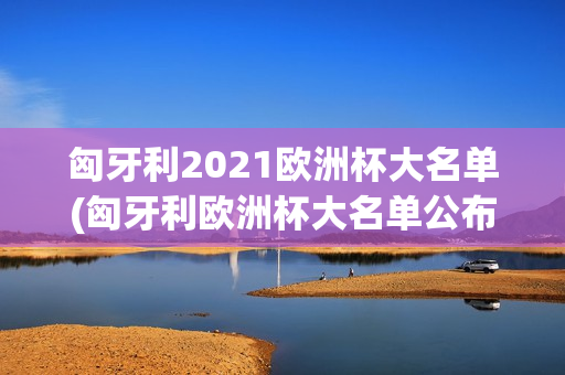 匈牙利2021欧洲杯大名单(匈牙利欧洲杯大名单公布)