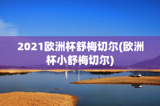 2021欧洲杯舒梅切尔(欧洲杯小舒梅切尔)