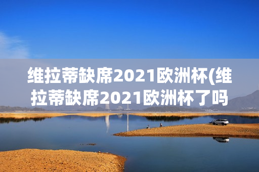 维拉蒂缺席2021欧洲杯(维拉蒂缺席2021欧洲杯了吗)