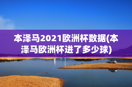 本泽马2021欧洲杯数据(本泽马欧洲杯进了多少球)