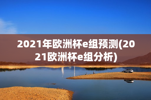 2021年欧洲杯e组预测(2021欧洲杯e组分析)