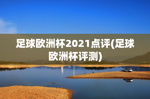 足球欧洲杯2021点评(足球欧洲杯评测)