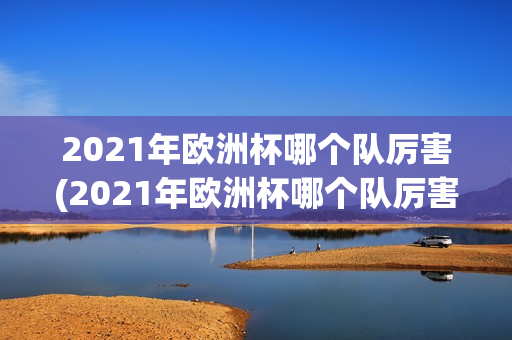 2021年欧洲杯哪个队厉害(2021年欧洲杯哪个队厉害一点)