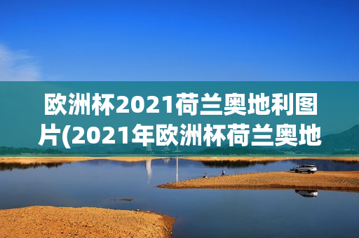 欧洲杯2021荷兰奥地利图片(2021年欧洲杯荷兰奥地利)