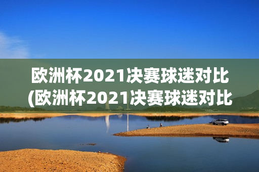 欧洲杯2021决赛球迷对比(欧洲杯2021决赛球迷对比视频)