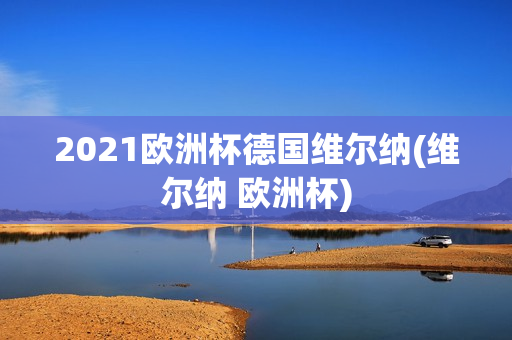 2021欧洲杯德国维尔纳(维尔纳 欧洲杯)