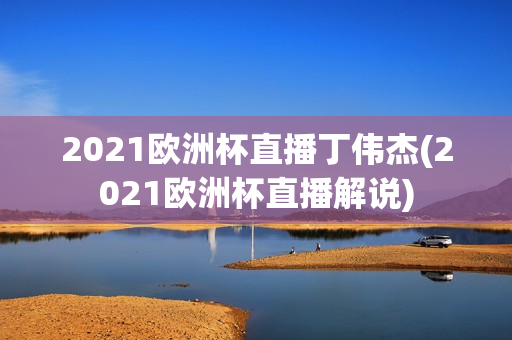 2021欧洲杯直播丁伟杰(2021欧洲杯直播解说)