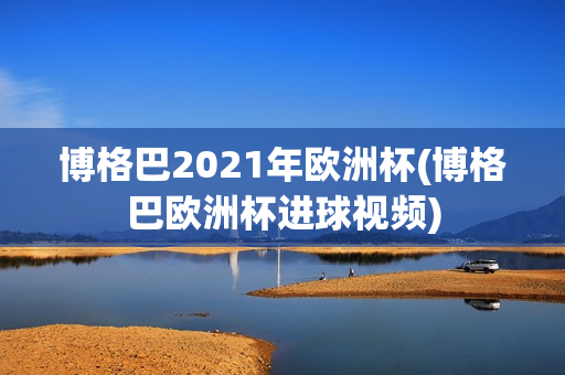 博格巴2021年欧洲杯(博格巴欧洲杯进球视频)