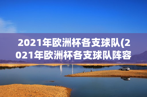 2021年欧洲杯各支球队(2021年欧洲杯各支球队阵容)