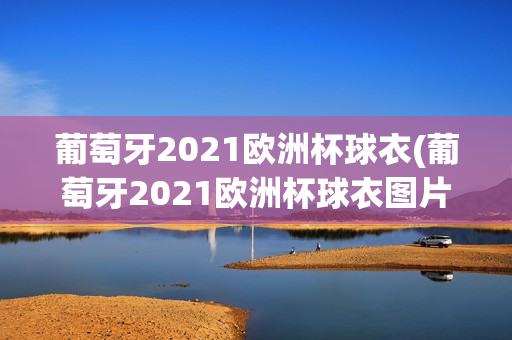 葡萄牙2021欧洲杯球衣(葡萄牙2021欧洲杯球衣图片)