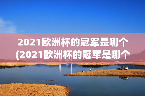 2021欧洲杯的冠军是哪个(2021欧洲杯的冠军是哪个国家)