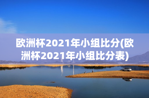 欧洲杯2021年小组比分(欧洲杯2021年小组比分表)