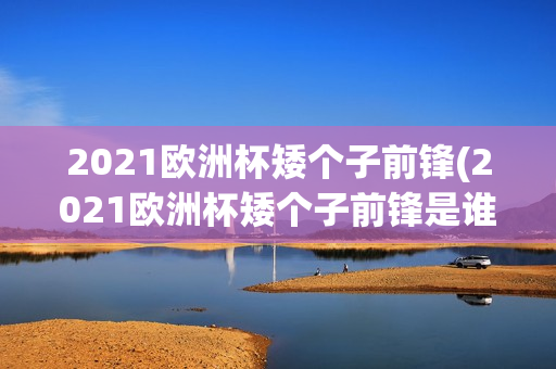 2021欧洲杯矮个子前锋(2021欧洲杯矮个子前锋是谁)