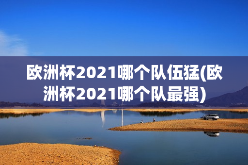 欧洲杯2021哪个队伍猛(欧洲杯2021哪个队最强)