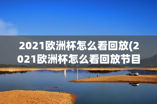 2021欧洲杯怎么看回放(2021欧洲杯怎么看回放节目)