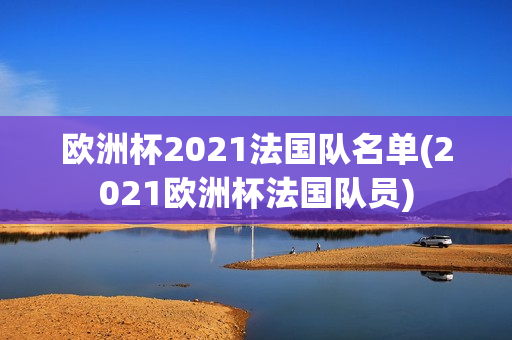 欧洲杯2021法国队名单(2021欧洲杯法国队员)