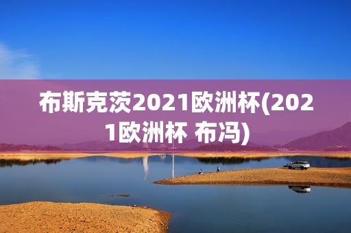 布斯克茨2021欧洲杯(2021欧洲杯 布冯)