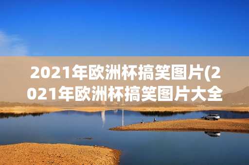 2021年欧洲杯搞笑图片(2021年欧洲杯搞笑图片大全)