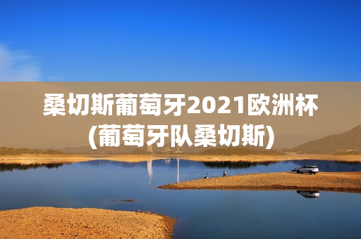 桑切斯葡萄牙2021欧洲杯(葡萄牙队桑切斯)