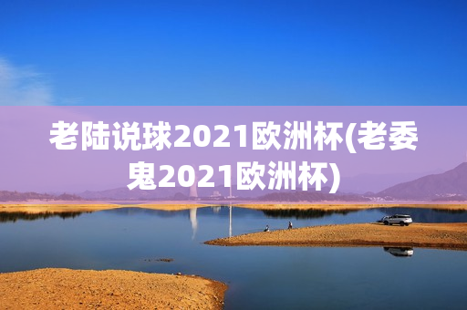 老陆说球2021欧洲杯(老委鬼2021欧洲杯)