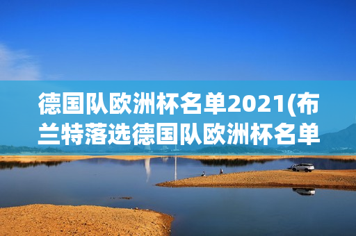 德国队欧洲杯名单2021(布兰特落选德国队欧洲杯名单)