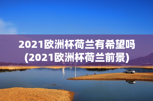 2021欧洲杯荷兰有希望吗(2021欧洲杯荷兰前景)