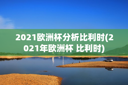 2021欧洲杯分析比利时(2021年欧洲杯 比利时)