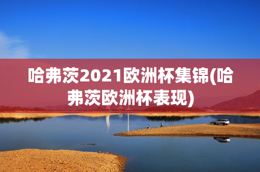 哈弗茨2021欧洲杯集锦(哈弗茨欧洲杯表现)