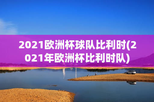 2021欧洲杯球队比利时(2021年欧洲杯比利时队)