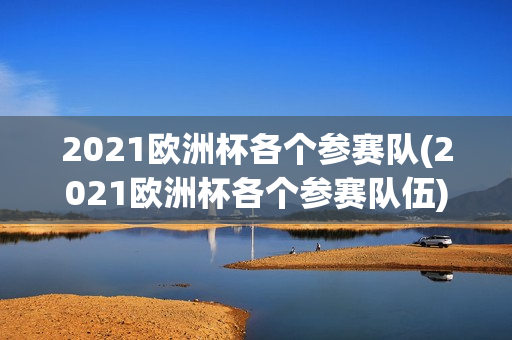 2021欧洲杯各个参赛队(2021欧洲杯各个参赛队伍)