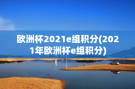 欧洲杯2021e组积分(2021年欧洲杯e组积分)