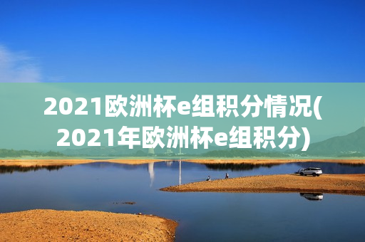 2021欧洲杯e组积分情况(2021年欧洲杯e组积分)