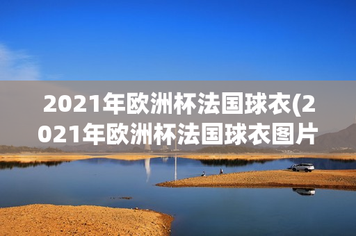 2021年欧洲杯法国球衣(2021年欧洲杯法国球衣图片)