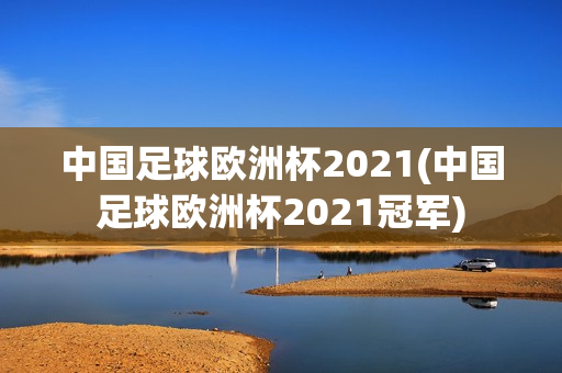 中国足球欧洲杯2021(中国足球欧洲杯2021冠军)