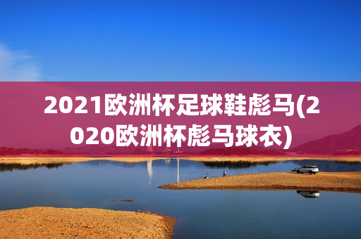 2021欧洲杯足球鞋彪马(2020欧洲杯彪马球衣)