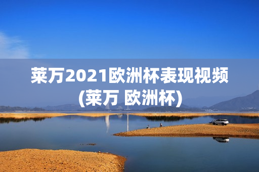 莱万2021欧洲杯表现视频(莱万 欧洲杯)