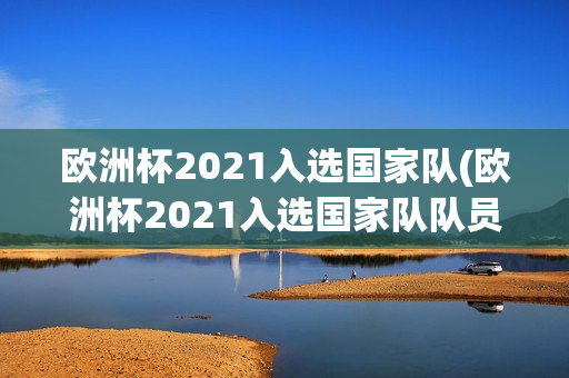 欧洲杯2021入选国家队(欧洲杯2021入选国家队队员)