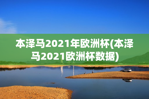 本泽马2021年欧洲杯(本泽马2021欧洲杯数据)