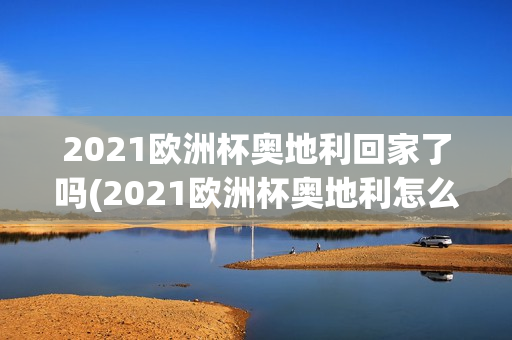 2021欧洲杯奥地利回家了吗(2021欧洲杯奥地利怎么样)