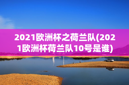 2021欧洲杯之荷兰队(2021欧洲杯荷兰队10号是谁)