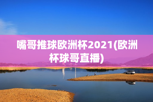 嘴哥推球欧洲杯2021(欧洲杯球哥直播)